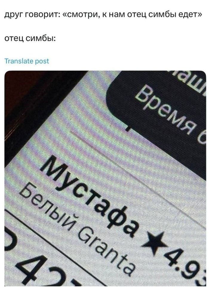 Друг говорит: «смотри, к нам отец Симбы едет».
Отец Симбы: Мустафа Белый Granta.