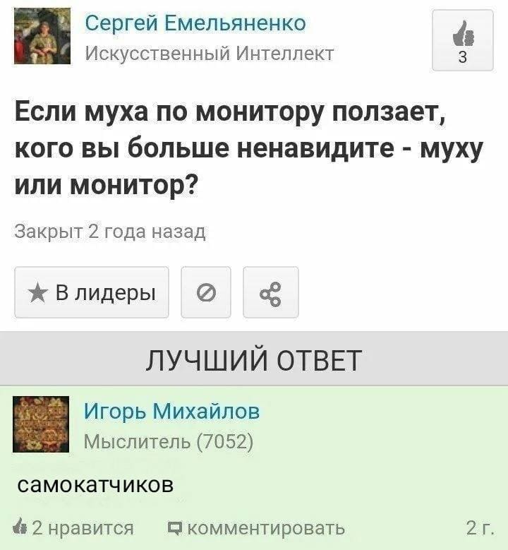 – Если муха по монитору ползает, кого вы больше ненавидите — муху или монитор?
– Самокатчиков.