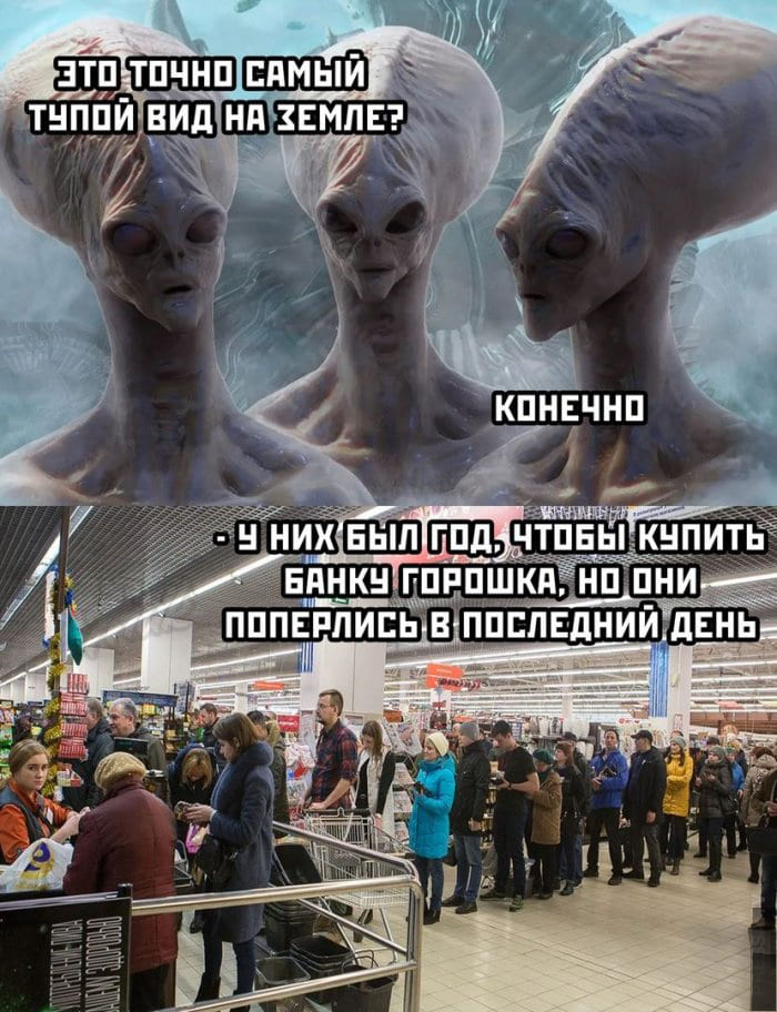 Инопланетяне глядя на землян в преддверии Нового года:
– Это точно самый тупой вид на Земле?
– У них был целый год, чтобы купить банку зелёного горошка, но они попёрлись в последний день.