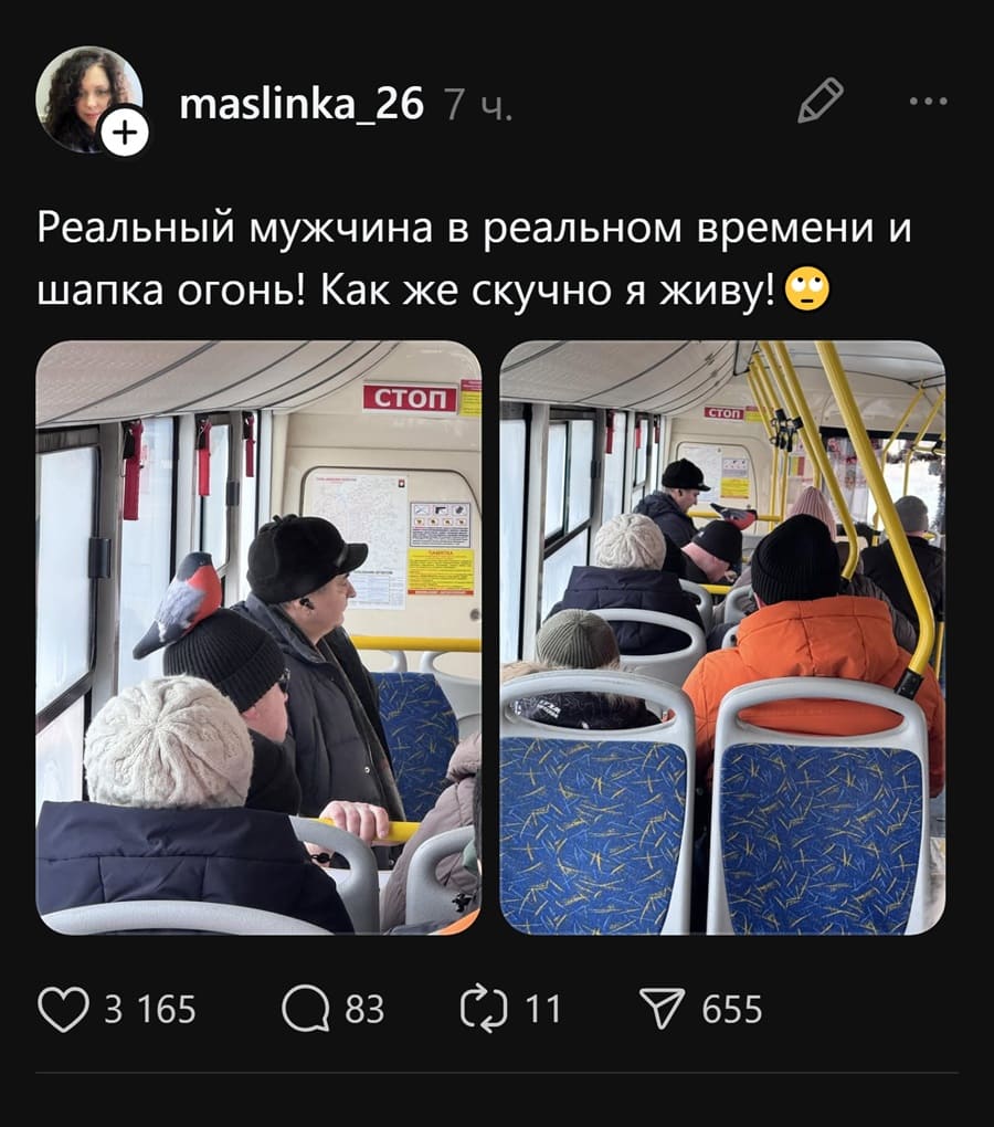 Реальный мужчина в реальном времени и шапка огонь! Как же скучно я живу!