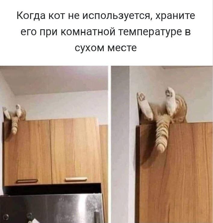 Когда кот не используется, храните его при комнатной температуре в сухом месте.