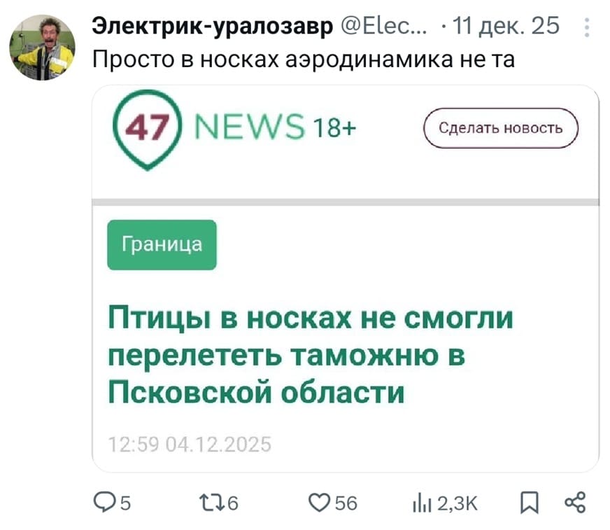 Из новостей: Птицы в носках не смогли перелететь таможню в Псковской области.
Комментарий:
– Просто в носках аэродинамика не та.