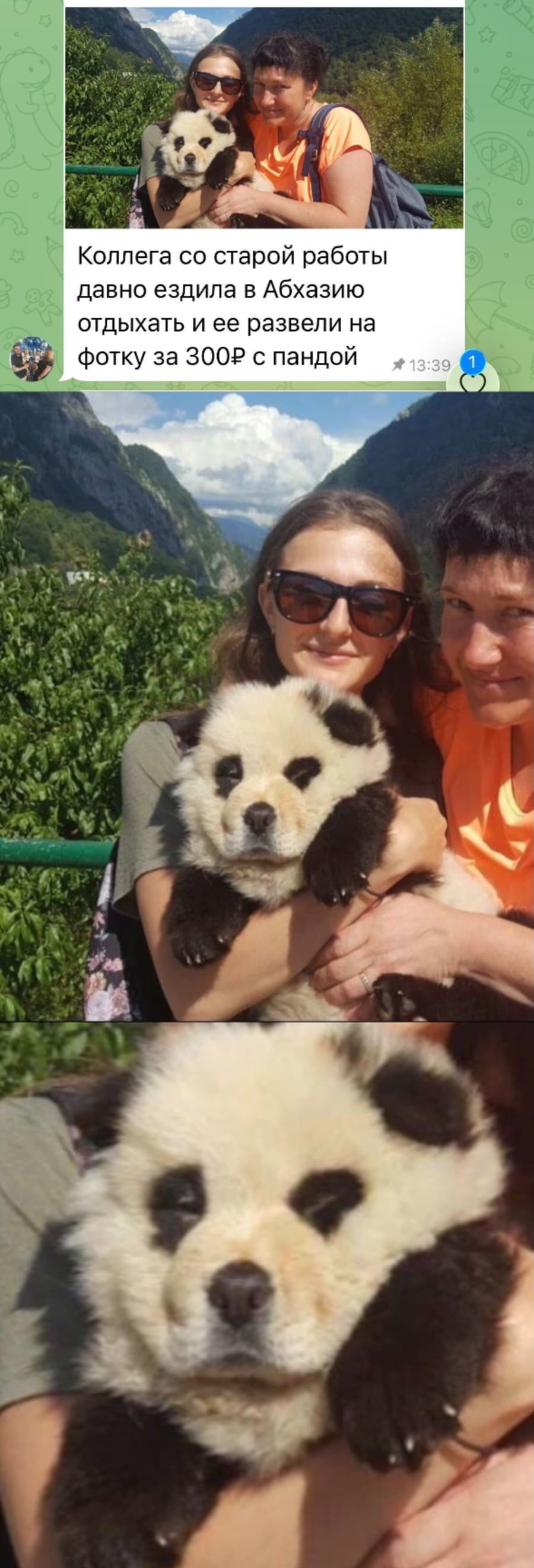 Коллега со старой работы давно ездила в Абхазию отдыхать и ее развели на фотку за 300 рублей с пандой.
*Собачий пандасодержащий продукт*