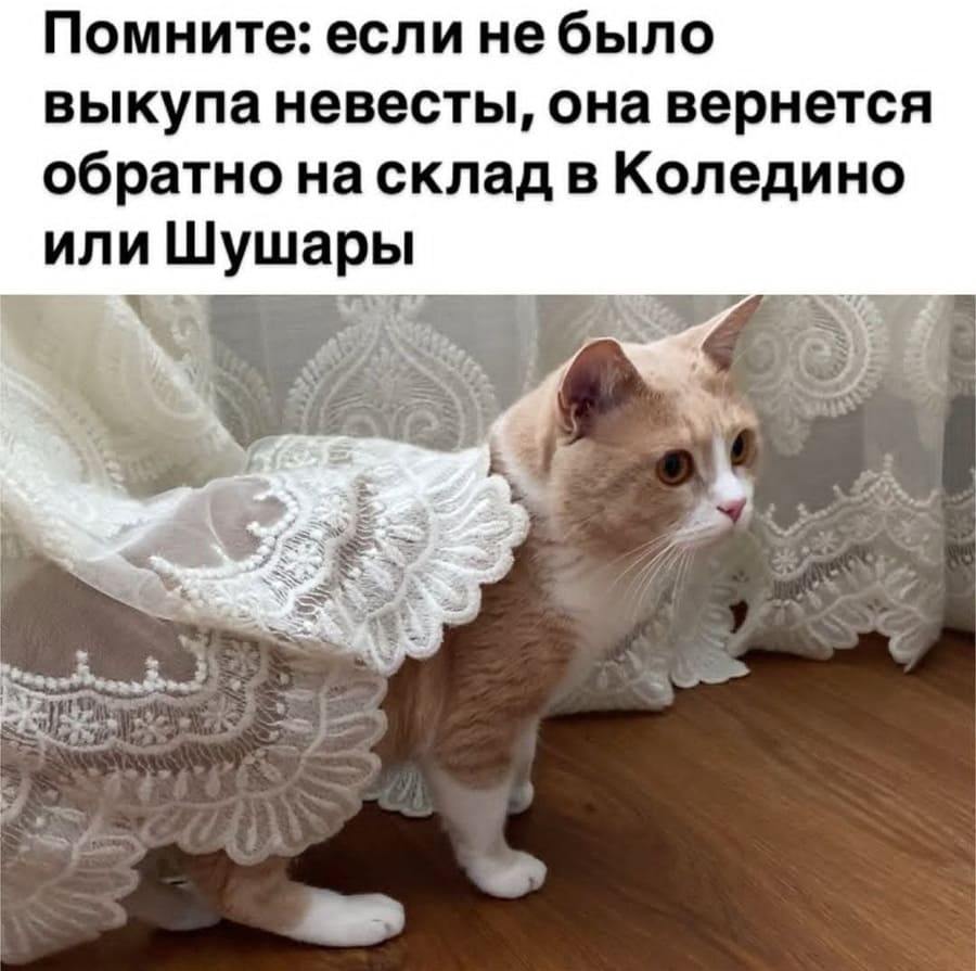 Помните: если не было выкупа невесты, она вернётся обратно на склад в Коледино или Шушары.