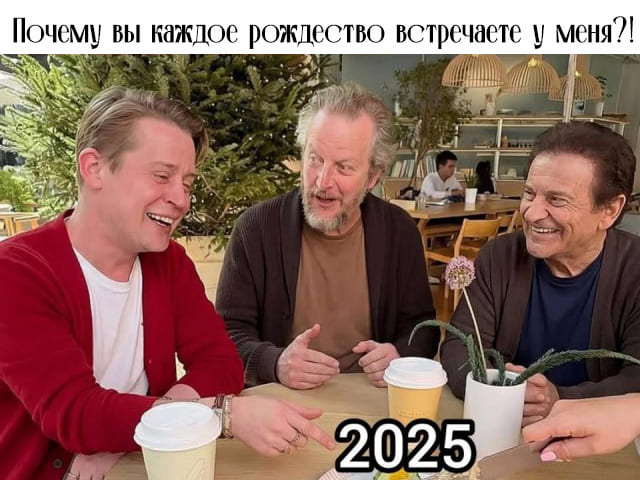 *Один дома и Рождество*
– Почему вы каждое рождество встречаете у меня дома?