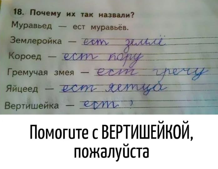 18. Почему их так назвали?
Муравьед — ест муравьёв.
Землеройка.
Короед.
Гремучая змея.
Яйцеед.
Вертишейка.

Помогите с ВЕРТИШЕЙКОЙ, пожалуйста.
