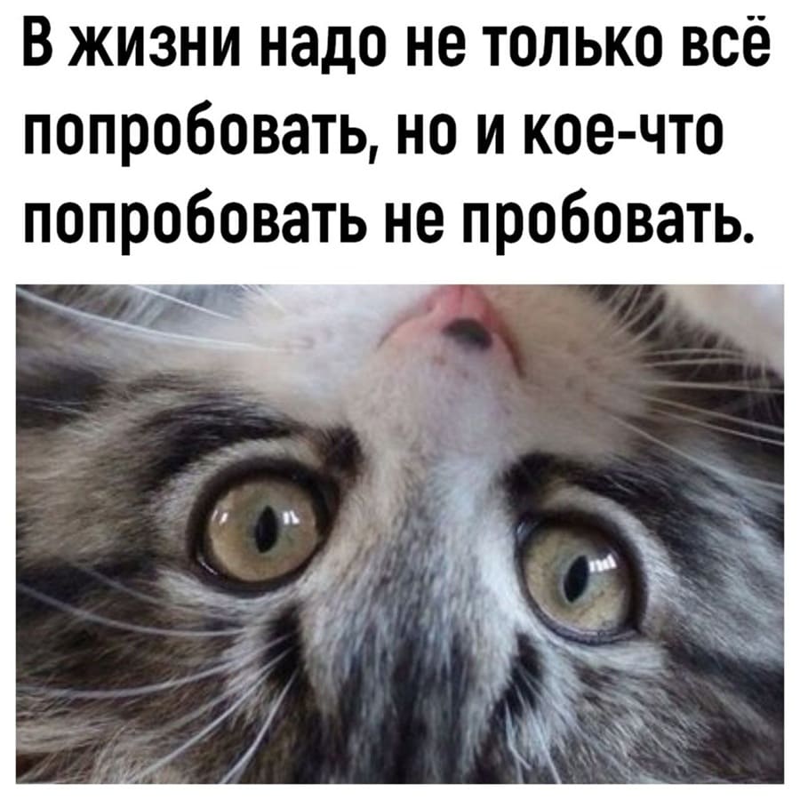 В жизни надо не только всё попробовать, но и кое-что попробовать не пробовать.