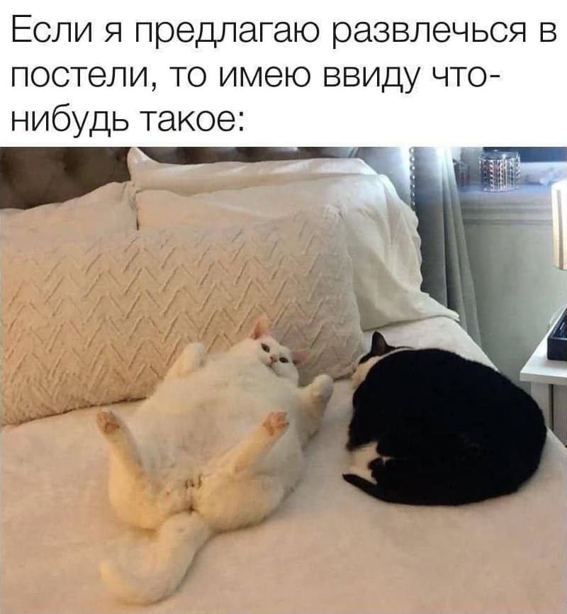 *Если я предлагаю развлечься в постели, то имею ввиду что-нибудь такое*