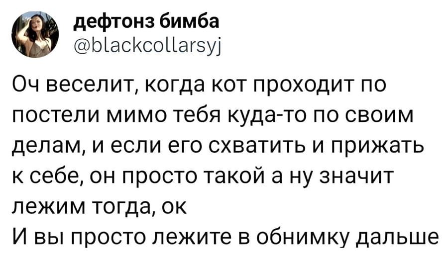 Оч весел ит, когда кот проходит по постели мимо тебя куда-то по своим делам, и если его схватить и прижать к себе, он просто такой: а ну значит лежим тогда, ок
И вы просто лежите в обнимку дальше.