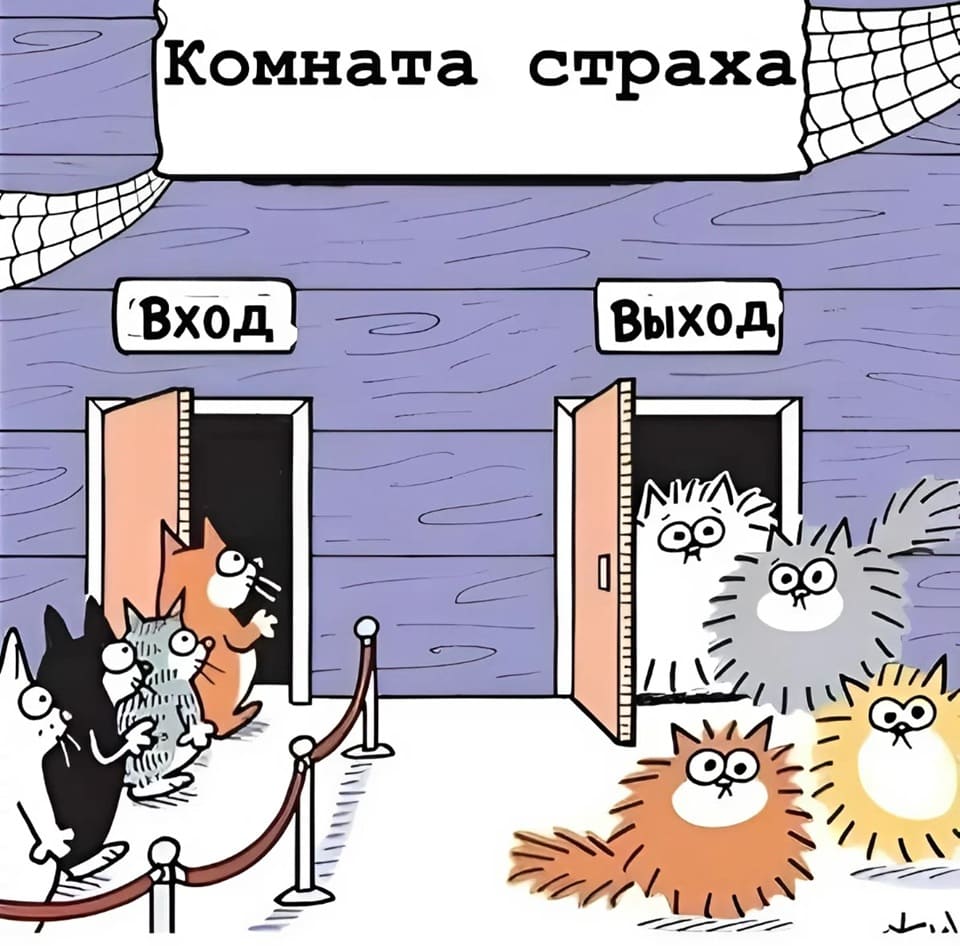 *Кошачья комната страха*