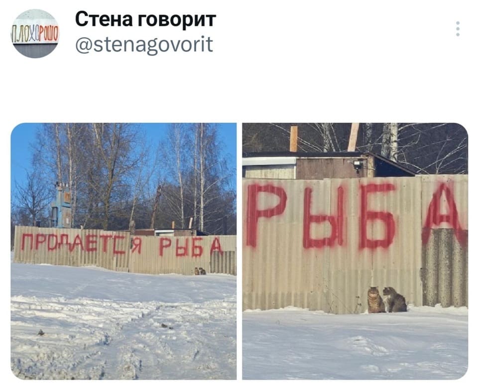 Надпись на заборе: *ПРОДАЁТСЯ РЫБА*
Под которой сидят котики.