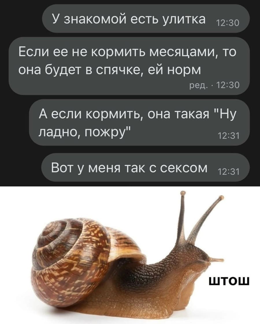 У знакомой есть улитка. Если её не кормить месяцами, то она будет в спячке, ей норм. А если кормить, она такая «Ну ладно, пожру». Вот у меня так с сексом.