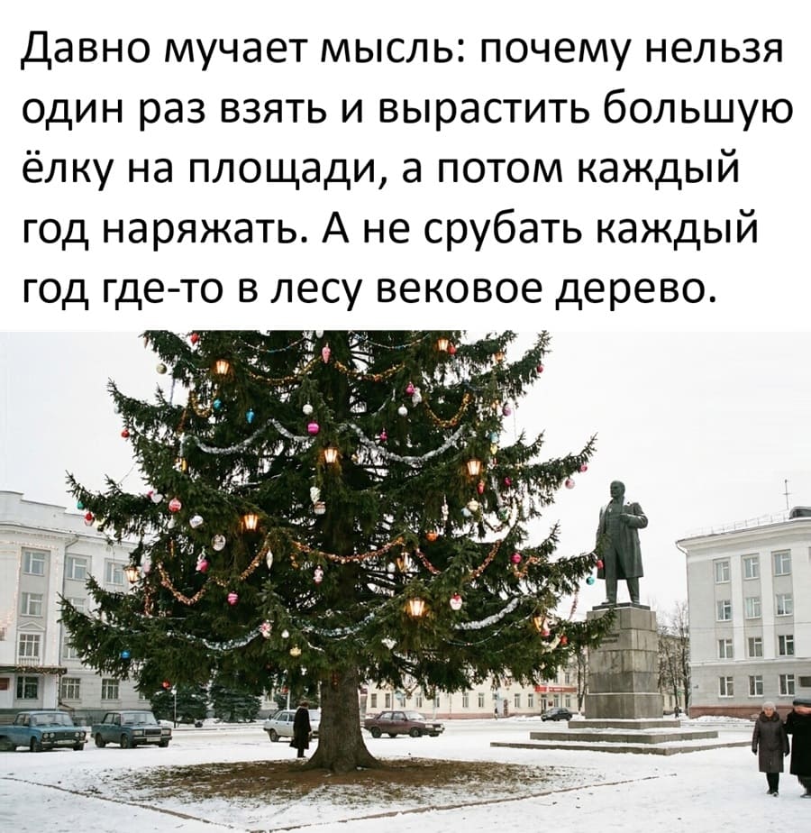 Давно мучает мысль: почему нельзя один раз взять и вырастить большую ёлку на площади, а потом каждый год наряжать. А не срубать каждый год где-то в лесу вековое дерево.