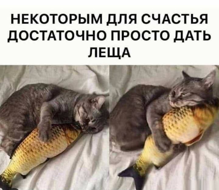 НЕКОТОРЫМ ДЛЯ СЧАСТЬЯ ДОСТАТОЧНО ПРОСТО ДАТЬ ЛЕЩА.