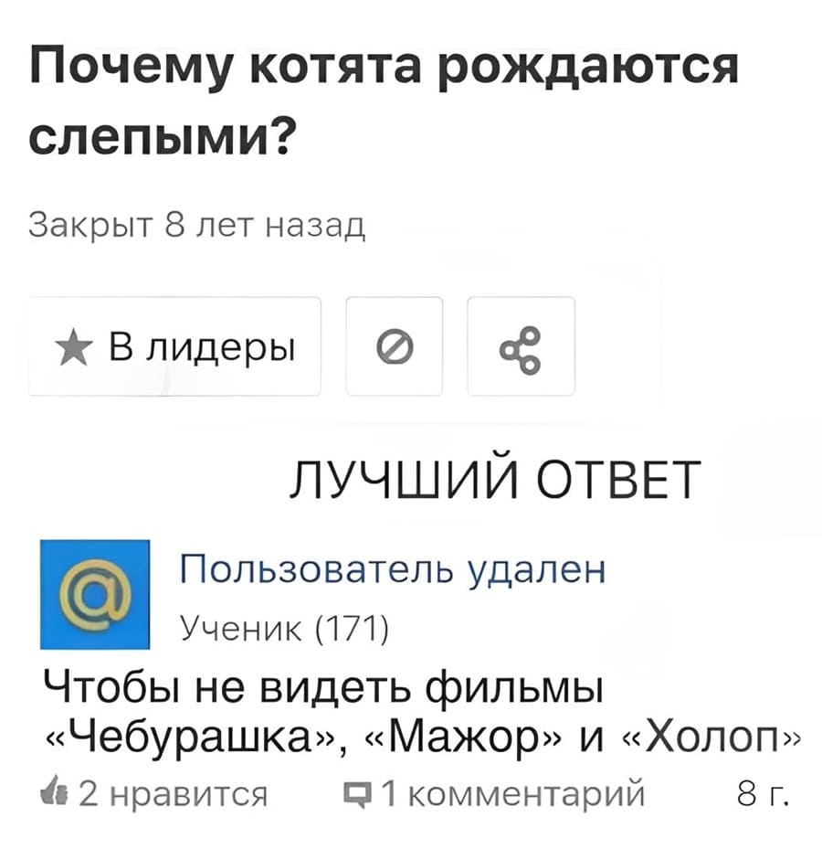 Вопрос:
– Почему котята рождаются слепыми?
Ответ:
– Чтобы не видеть фильмы «Чебурашка», «Мажор» и «Холоп».