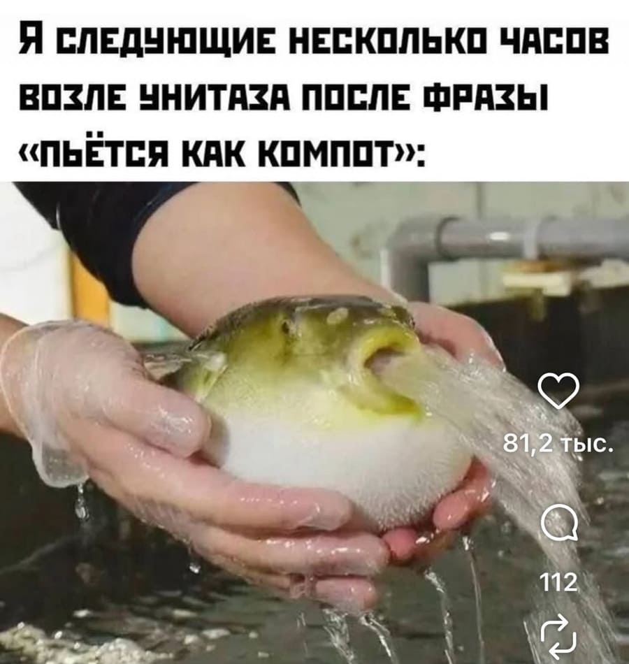 *Я СЛЕДУЮЩИЕ НЕСКОЛЬКО ЧАСОВ ВОЗЛЕ УНИТАЗА ПОСЛЕ ФРАЗЫ «ПЬЁТСЯ КАК КОМПОТ»*