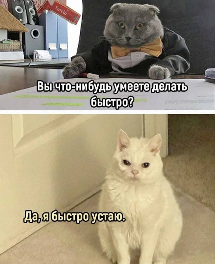 – Вы что-нибудь умеете делать быстро?
– Да, я быстро устаю.