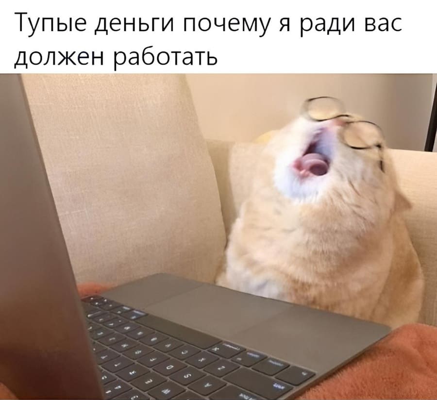 Тупые деньги, почему я ради вас должна работать!