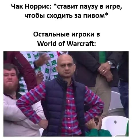 Чак Норрис: *ставит паузу в игре, чтобы сходить за пивом*
Остальные игроки в World of Warcraft: *Подождём*