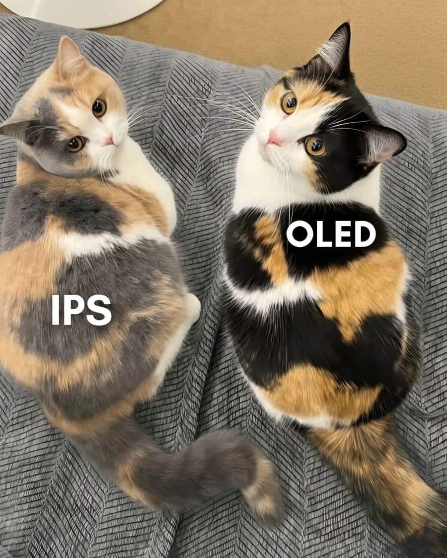 *IPS & OLED*