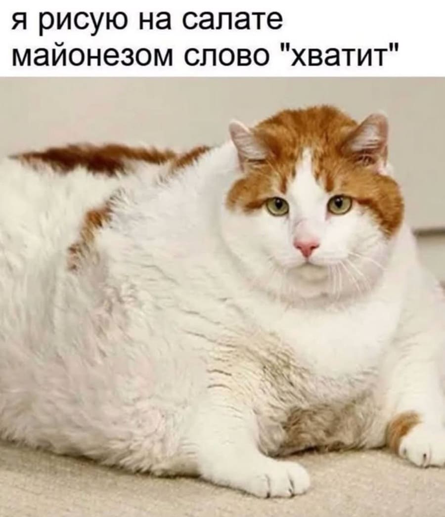 *Я рисую на салате майонезом слово «ХВАТИТ»*