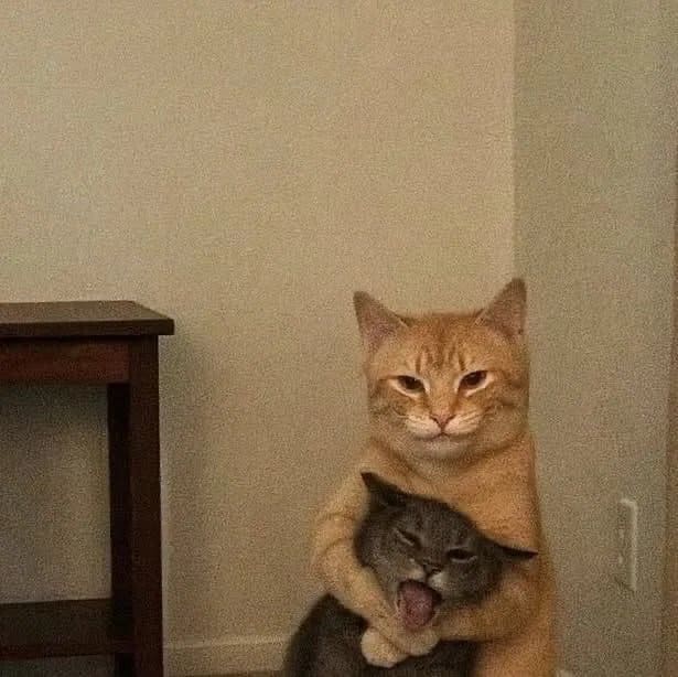 *Ты ничего не видел, листай дальше*