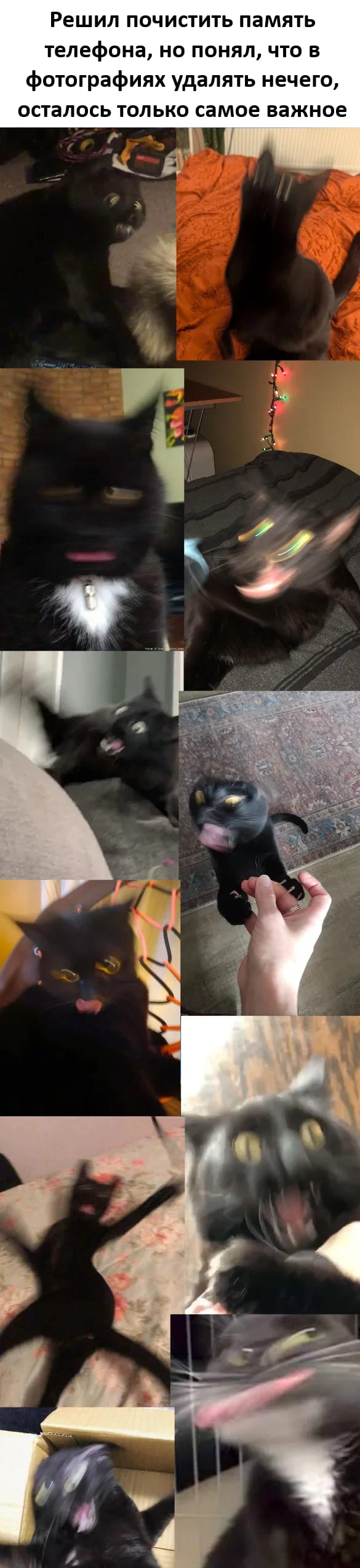 Решил почистить память
телефона, но понял, что в
фотографиях удалять нечего,
осталось только самое важное