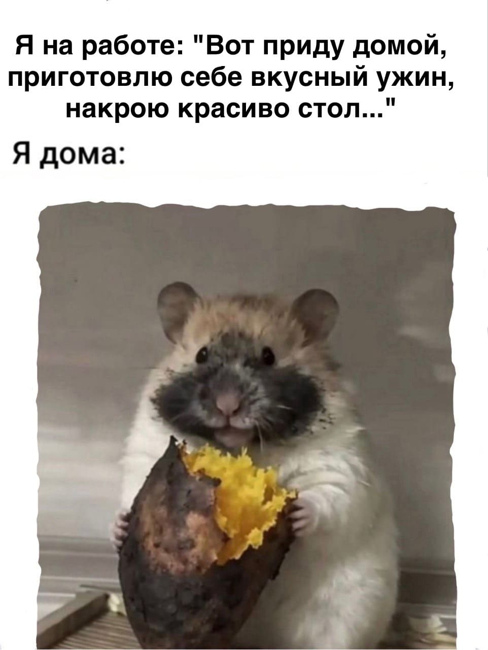 Я на работе: «Вот приду домой, приготовлю себе вкусный ужин, накрою красиво стол...»
*Я дома*