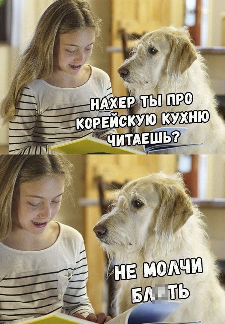 – Нахер ты про корейскую кухню читаешь? Не молчи, блть!