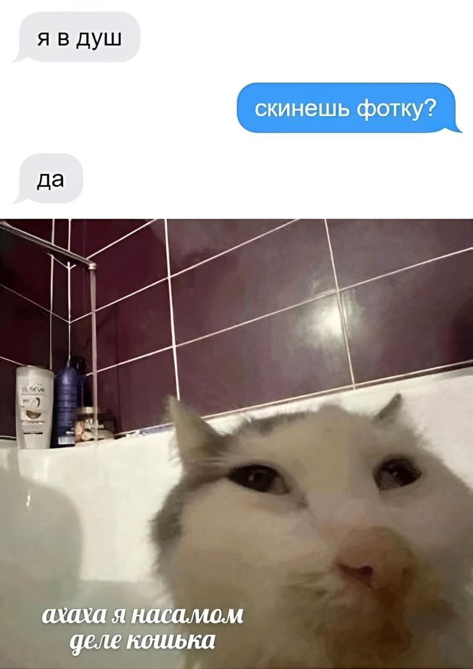 – Я в душ.
– Скинешь фотку?
– Да.
*На самом деле я кошка*