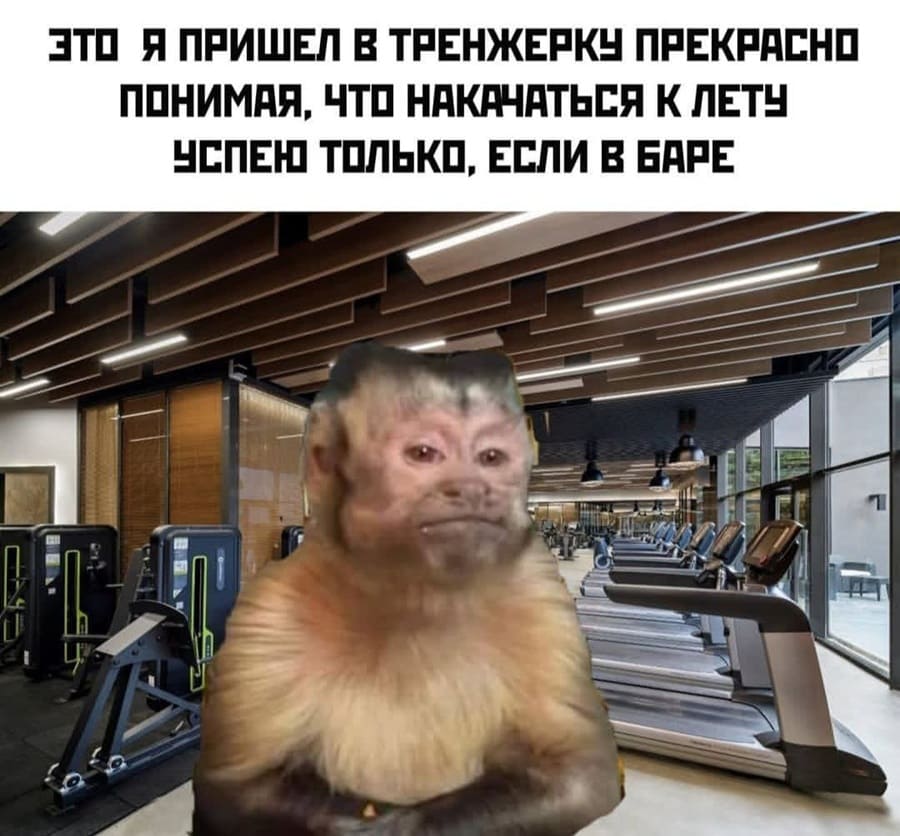 ЭТО Я ПРИШЁЛ В ТРЕНЖЁРКУ ПРЕКРАСНО ПОНИМАЯ, ЧТО НАКАЧАТЬСЯ К ЛЕТУ УСПЕЮ ТОЛЬКО, ЕСЛИ В БАРЕ.