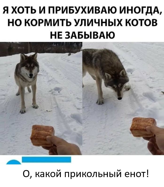 Я хоть и подбухиваю иногда, но кормить уличных котов не забываю.