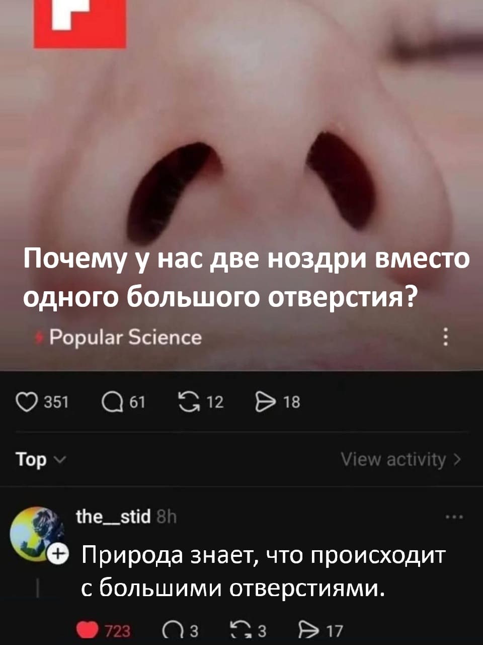 – Почему у нас две ноздри вместо одного большого отверстия?
– Природа знает, что происходит с большими отверстиями.