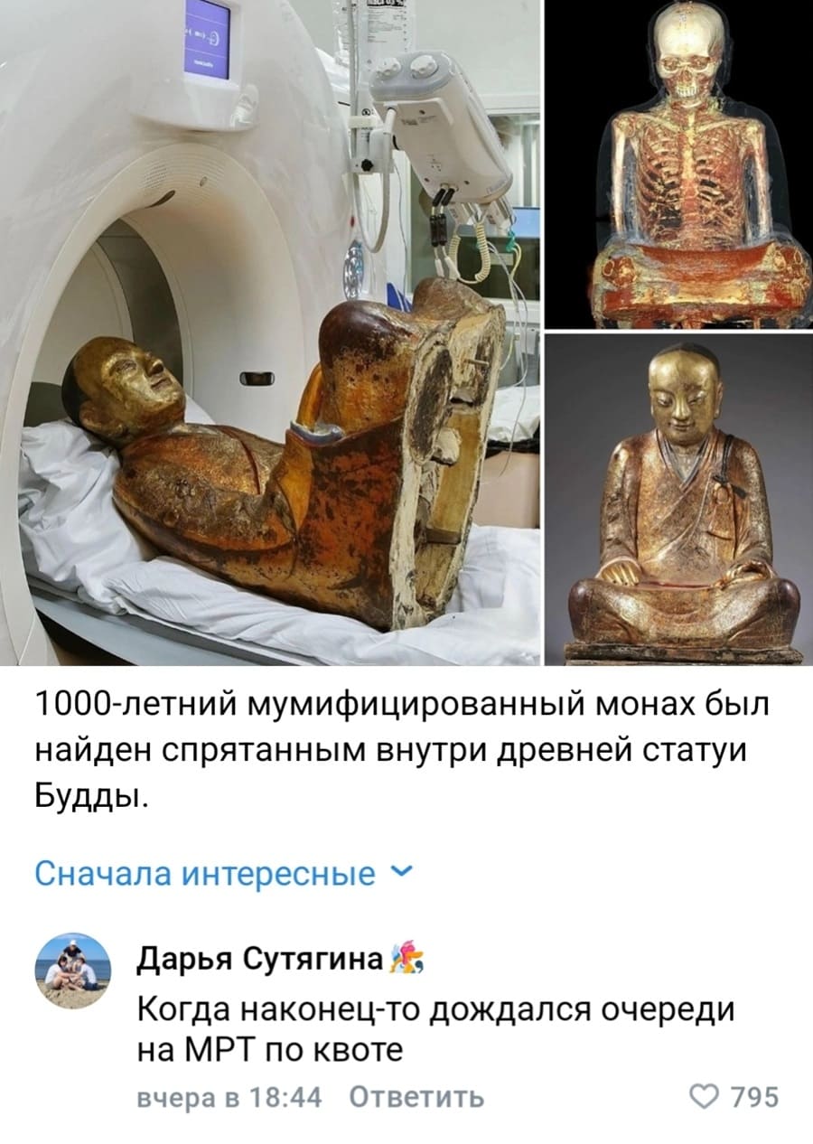 – 1000-летний мумифицированный монах был найден спрятанным внутри древней статуи Будды.
– Когда наконец-то дождался очереди на МРТ по квоте.