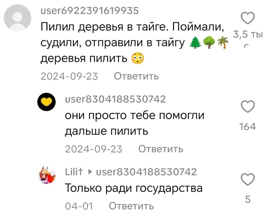 – Пилил деревья в тайге. Поймали, судили, отправили в тайгу деревья пилить.
– Они просто тебе помогли дальше пилить.
– Только ради государства.