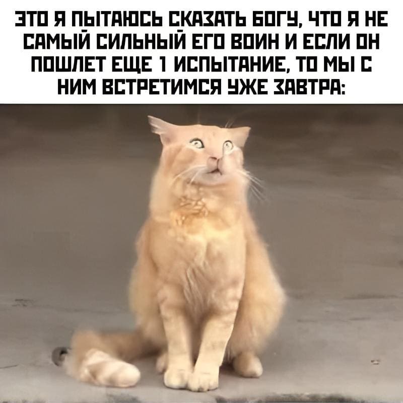 *Это я пытаюсь сказать Богу, что я не самый сильный его воин и если он пошлёт мне ещё одно своё испытание, то мы с ним встретимся уже завтра*
