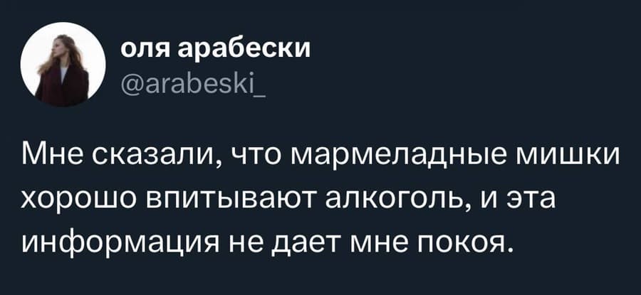 Мне сказали, что мармеладные мишки хорошо впитывают алкоголь, и эта информация не дает мне покоя.