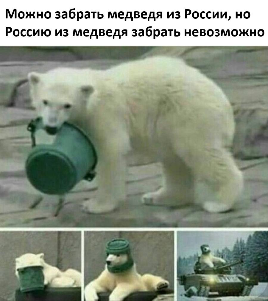 *Можно забрать медведя из России, но Россию из медведя забрать невозможно*