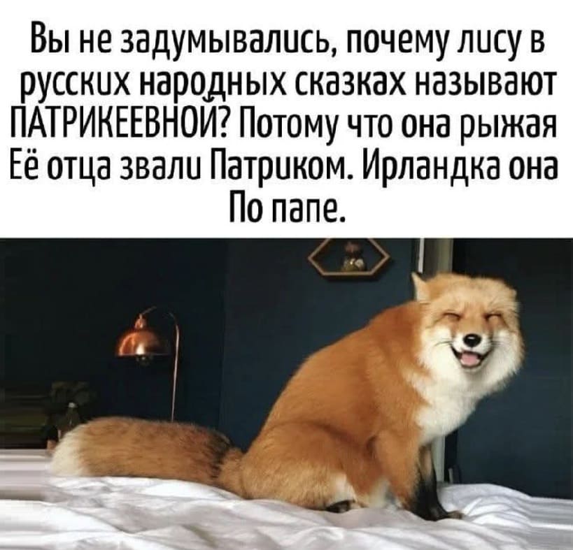 Вы не задумывались, почему лису в русских народных сказках называют ПАТРИКЕЕВНА? Потому что она рыжая. Её отца звали Патриком. Ирландка она по папе.
