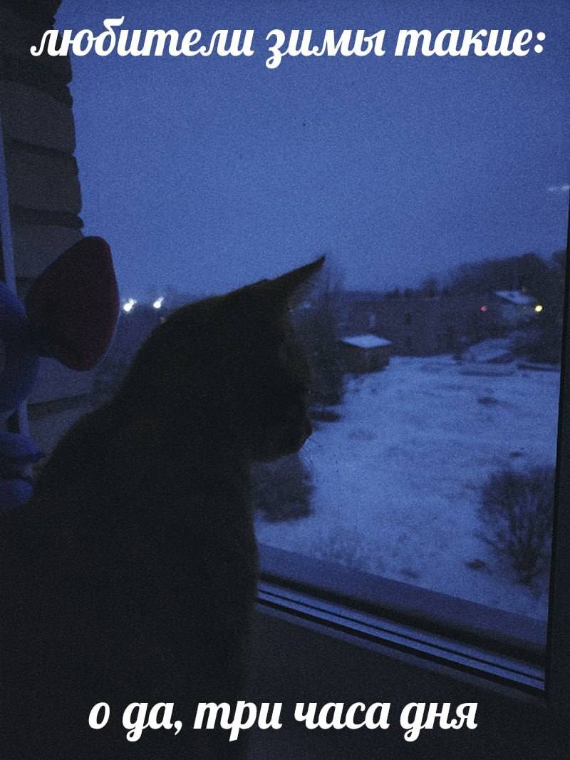 Любители зимы такие:
– О да, три часа дня...