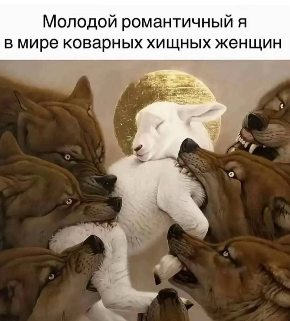 *Молодой романтичный я в мире коварных хищных женщин*