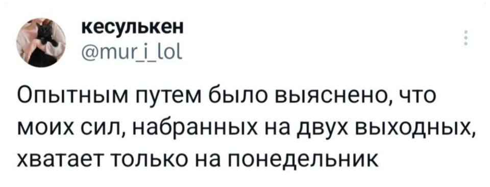 Опытным путём было выяснено, что моих сил, набранных на двух выходных, хватает только на понедельник.
