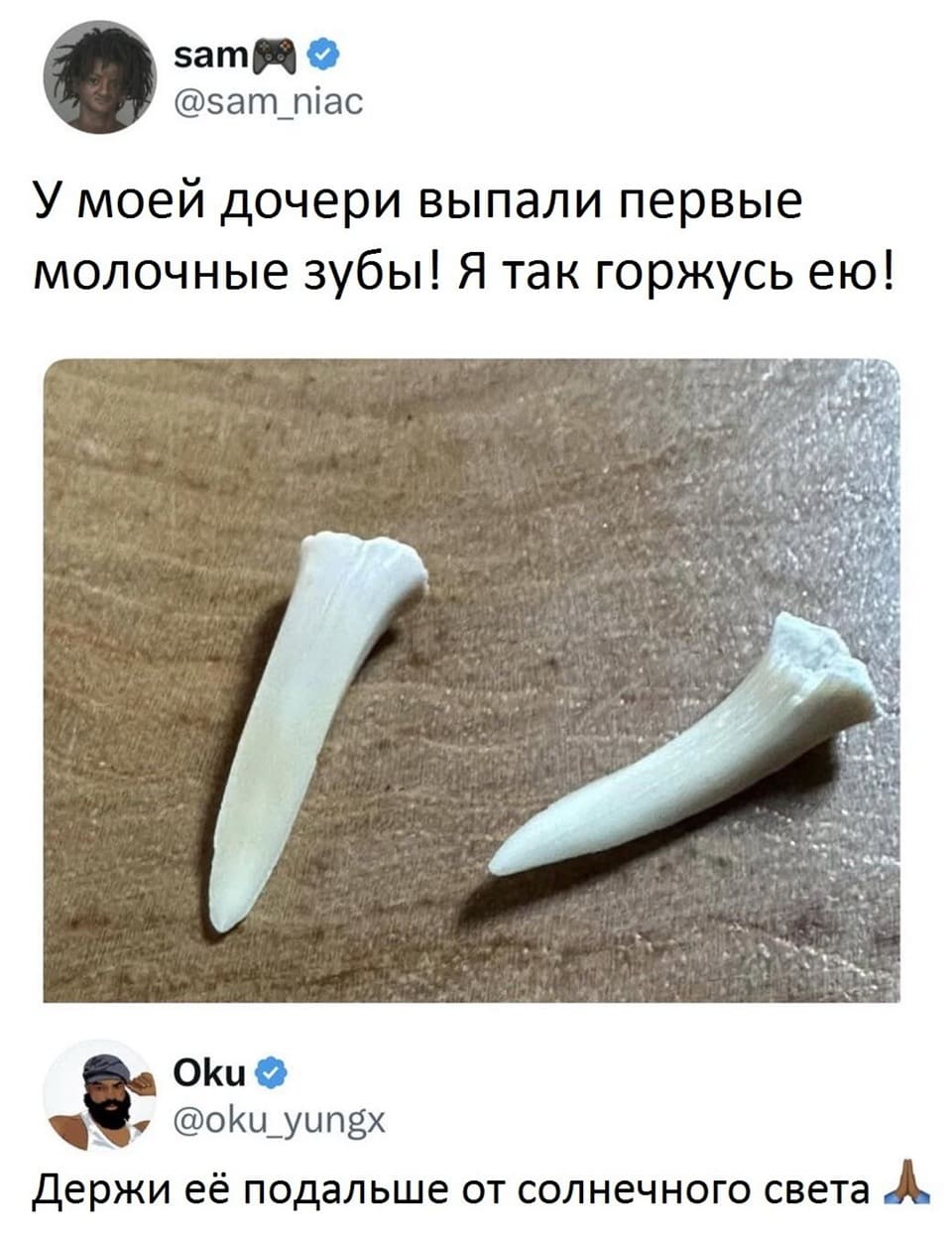 – У моей дочери выпали первые молочные зубы! Я так горжусь ею!
– Держи её подальше от солнечного света.