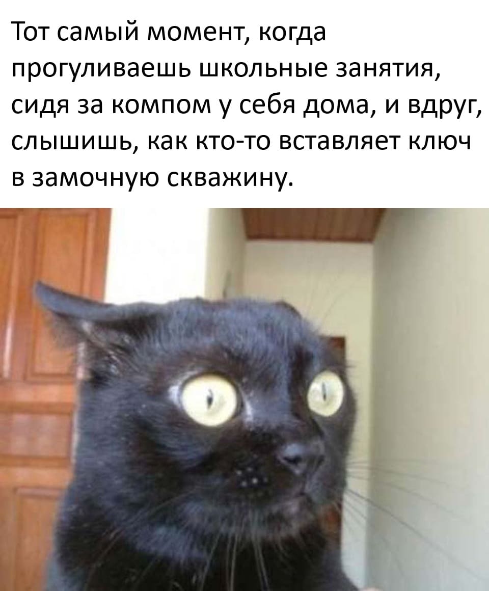 *То самое чувство, когда прогуливаешь школу сидя у себя дома и вдруг, слышишь, как кто-то открывает входную дверь*