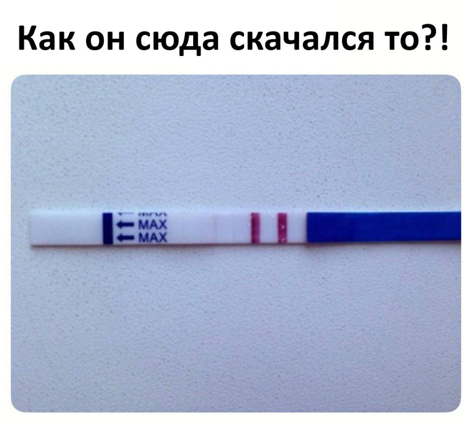 Сука, как он сюда скачался?!
*Национальный Отечественный Мессенджер MAX*