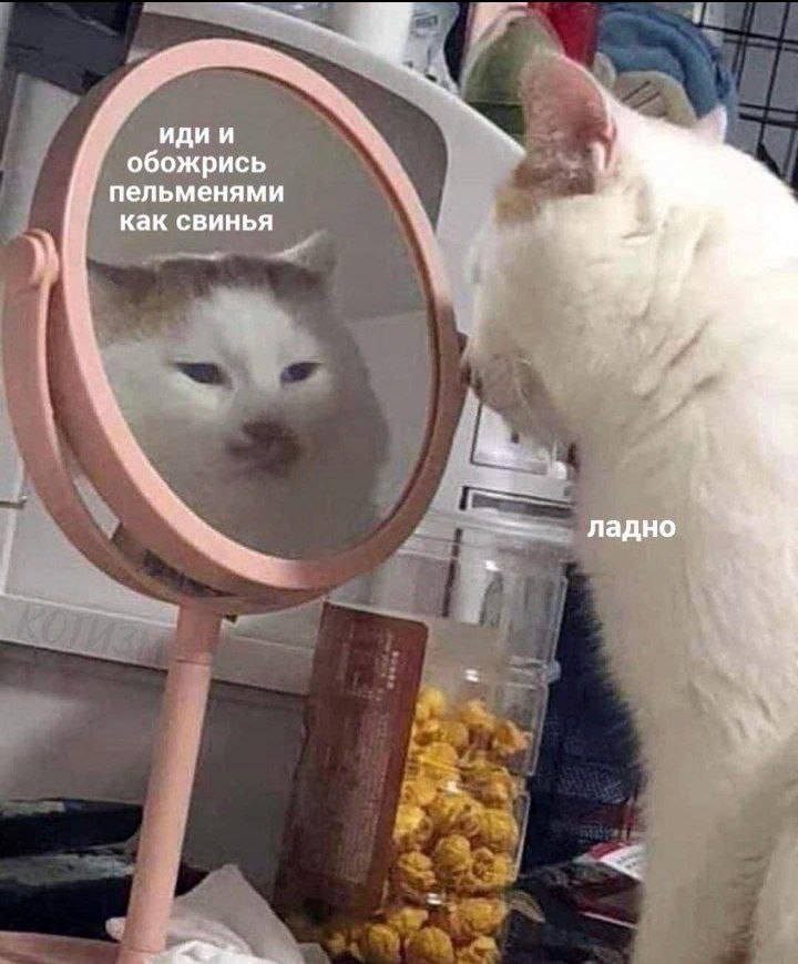 – Иди и обожрись пельменями как свинья.
– Ладно.