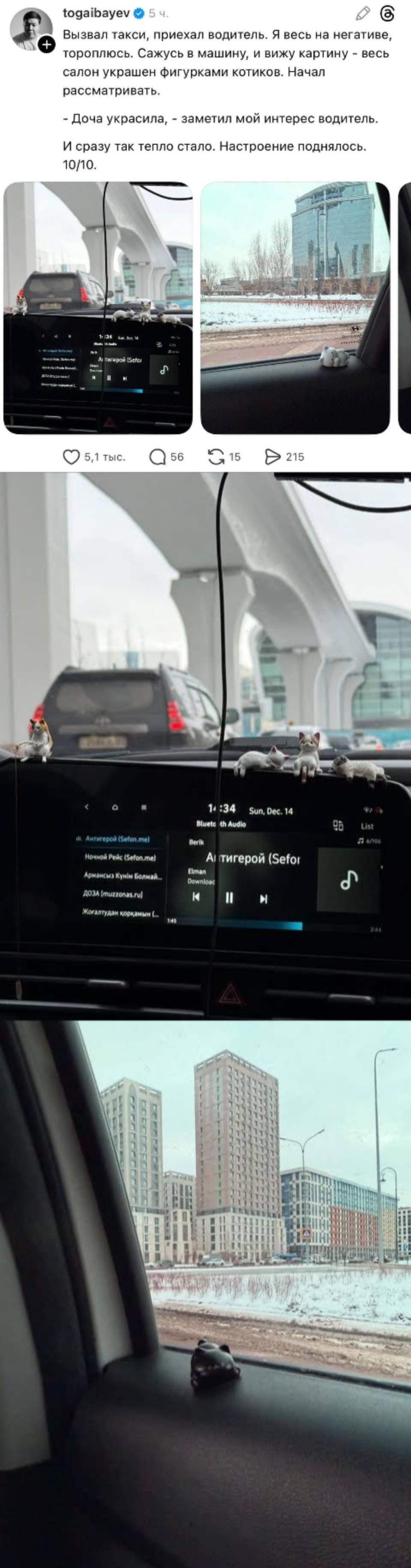 Вызвал такси, приехал водитель. Я весь на негативе, тороплюсь. Сажусь в машину, и вижу картину – весь салон украшен фигурками котиков. Начал рассматривать.
– Доча украсила, – заметил мой интерес водитель.
И сразу так тепло стало. Настроение поднялось.
10/10.