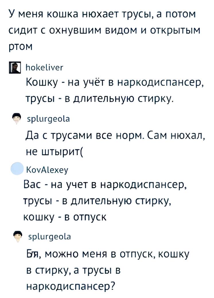 – У меня кошка нюхает трусы, а потом сидит с охнувшим видом и открытым ртом.
– Кошку — на учёт в наркодиспансер, трусы — в длительную стирку.
– Да с трусами всё норм. Сам нюхал, не штырит.
– Вас — на учёт в наркодиспансер, трусы — в длительную стирку, кошку — в отпуск.
– Бл.., можно меня в отпуск, кошку в стирку, а трусы в наркодиспансер?