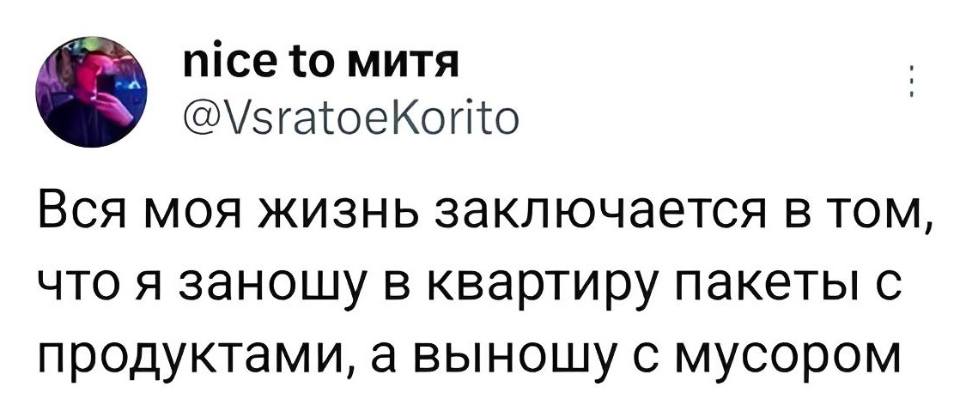 Вся моя жизнь только в том и заключается, что я заношу в квартиру пакеты с продуктами, а выношу с мусором.