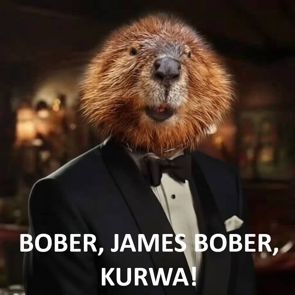 BOBER, JAMES BOBER, KURWA!